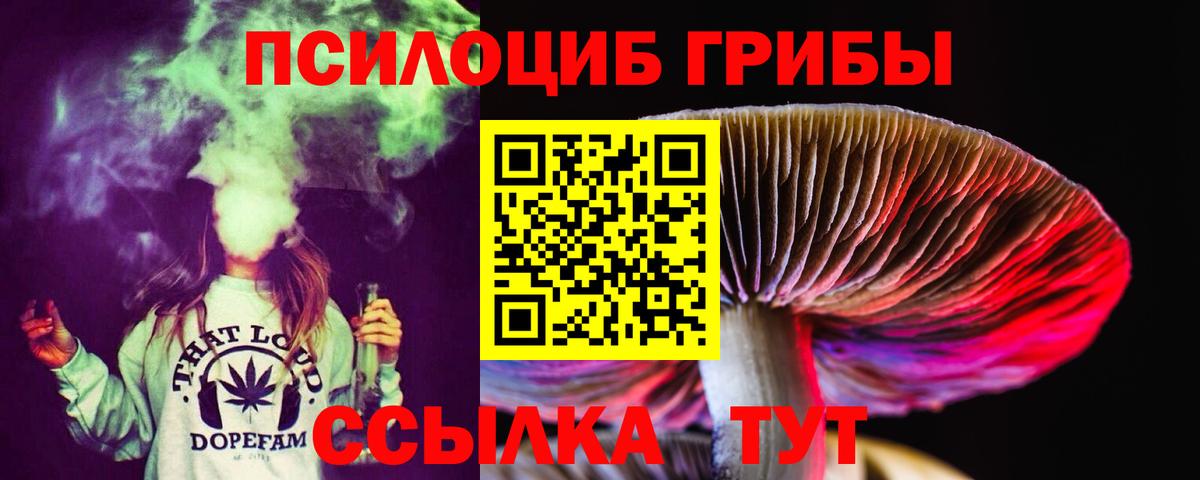 Псилоцибиновые грибы Psilocybine cubensis Спасск-Дальний